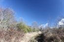 Montée au plateau de Gergovie